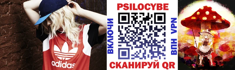 как найти закладки  Кунгур  Галлюциногенные грибы прущие грибы 