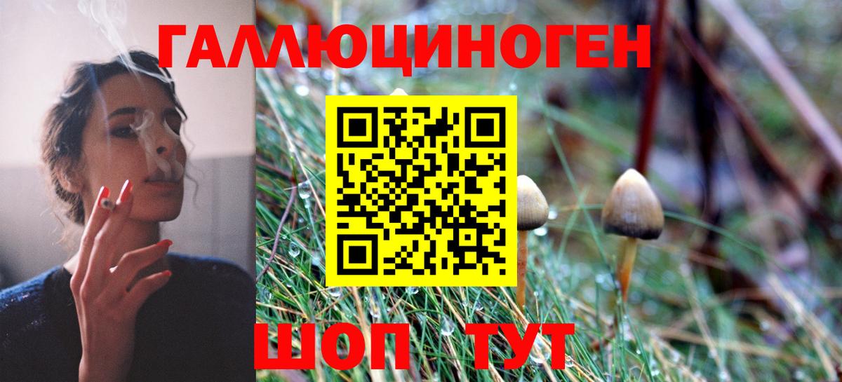 Галлюциногенные грибы Psilocybe Кунгур